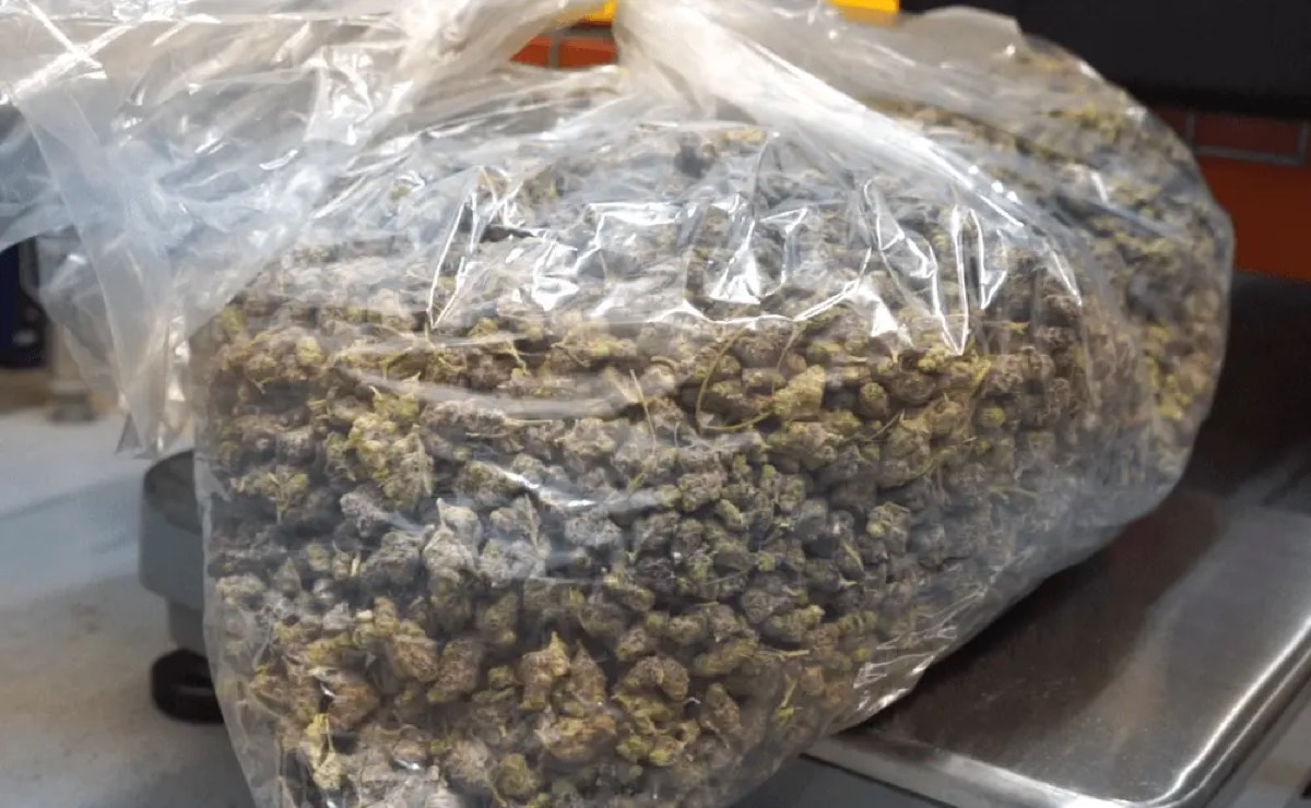 Bulk harvested flower