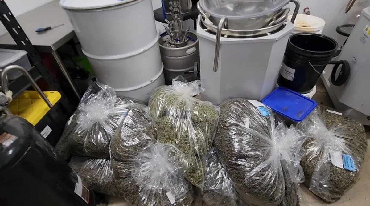 Sealed bags of trimmed cannabis flower